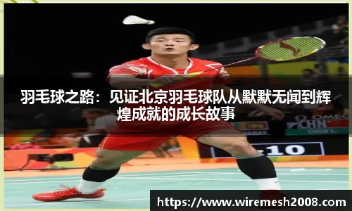 羽毛球之路：见证北京羽毛球队从默默无闻到辉煌成就的成长故事