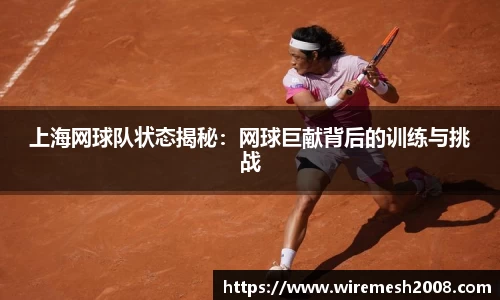 上海网球队状态揭秘：网球巨献背后的训练与挑战